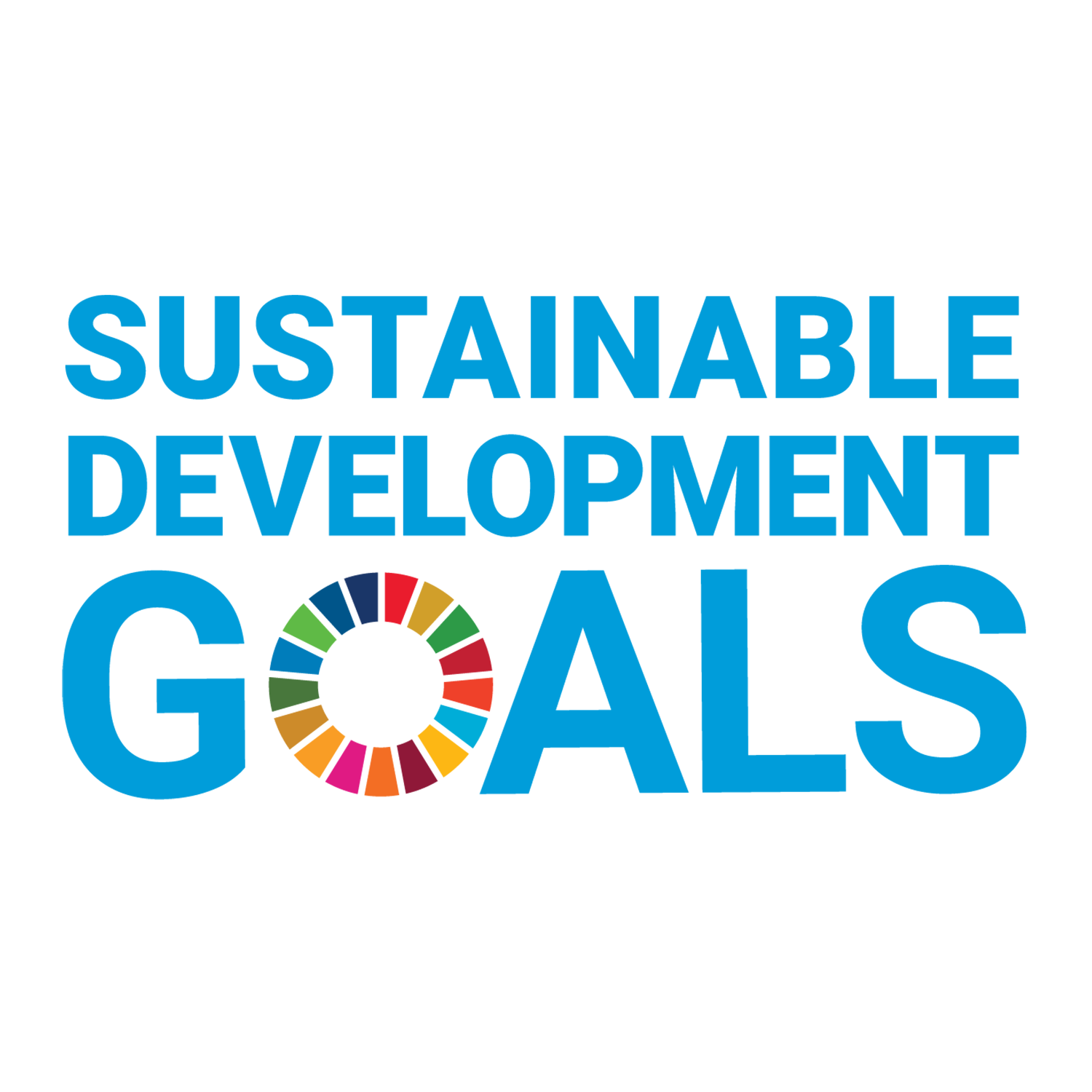 SDG logo